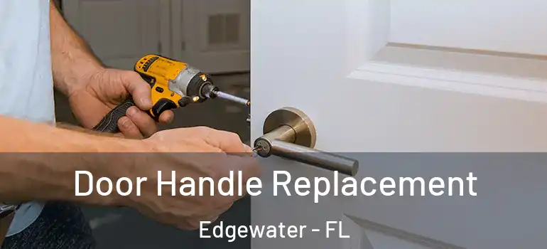 Door Handle Replacement Edgewater - FL