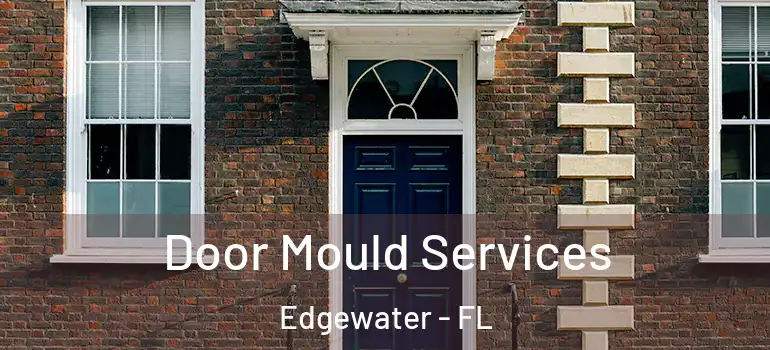  Door Mould Services Edgewater - FL