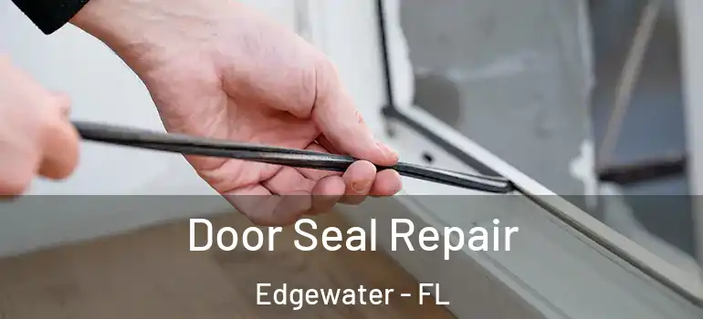  Door Seal Repair Edgewater - FL