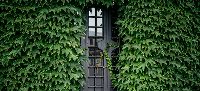 Garden Gate Repair in Edgewater, FL