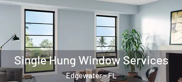  Single Hung Window Services Edgewater - FL