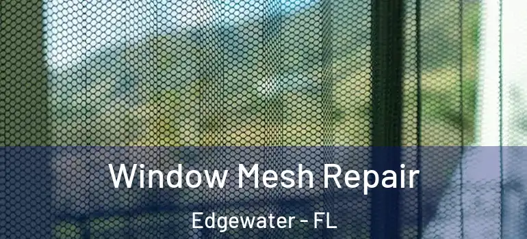  Window Mesh Repair Edgewater - FL