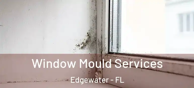  Window Mould Services Edgewater - FL