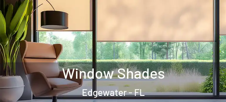  Window Shades Edgewater - FL